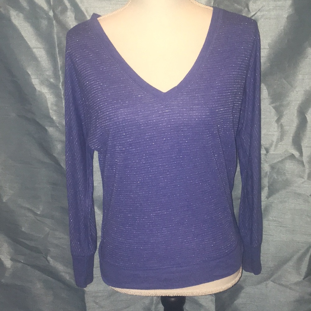 American Eagle sparkly striped long sleeve